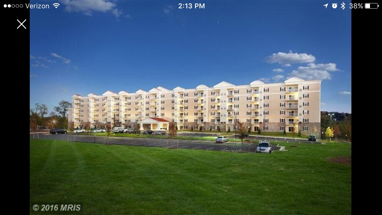 6301 Edsall Rd Unit 211, Alexandria, VA 22312 Condo for Rent in