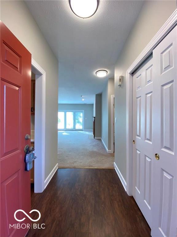 Building Photo - 5310 Cotton Bay Dr W