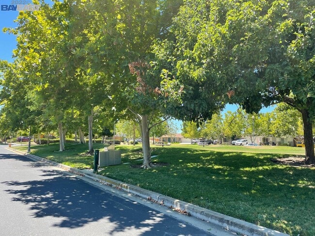 Building Photo - 1267 Meadow Dr