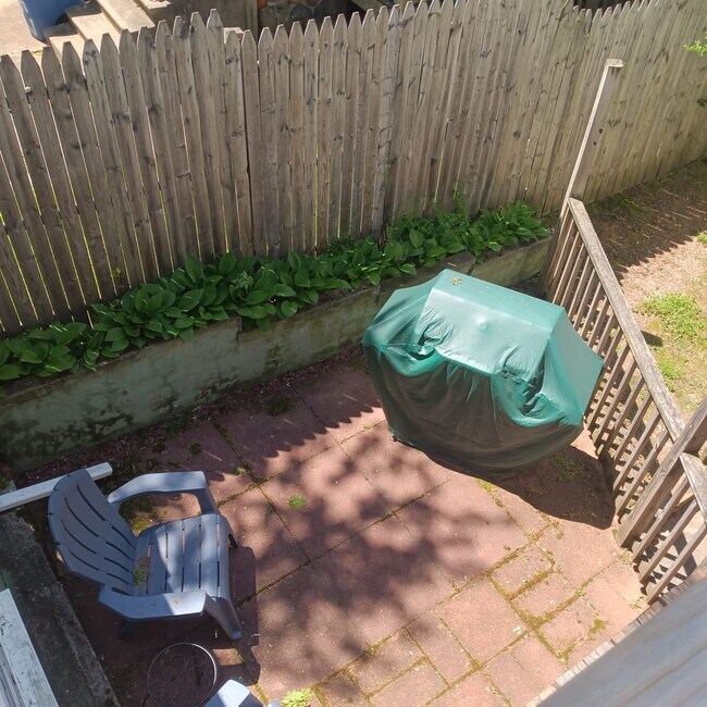 Cubierta trasera - 261 View St