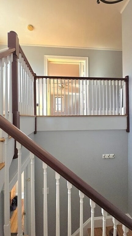 Foto del edificio - 9 Kenilworth St