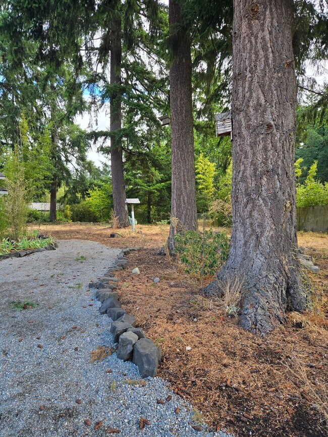 Foto del edificio - Cute 1 Bedroom 1 Bath in Rainier