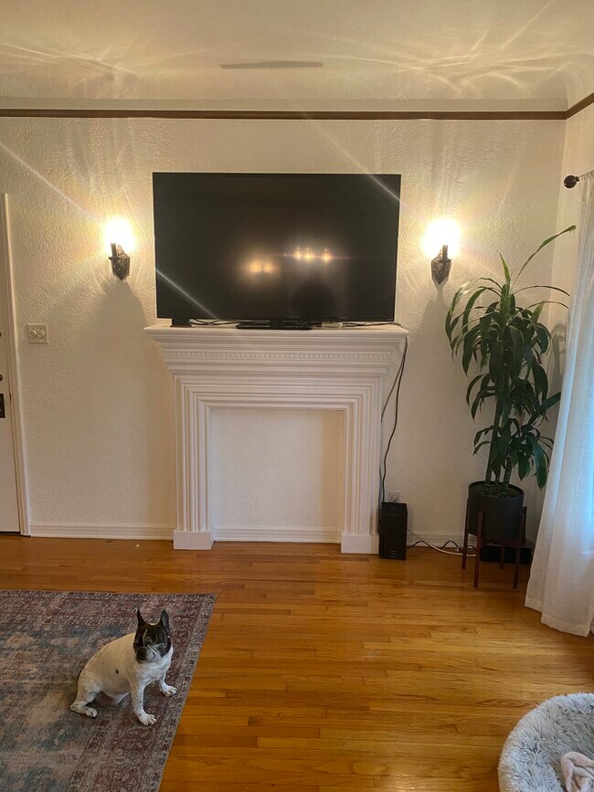 101 Mantle - 415 N Sycamore Ave