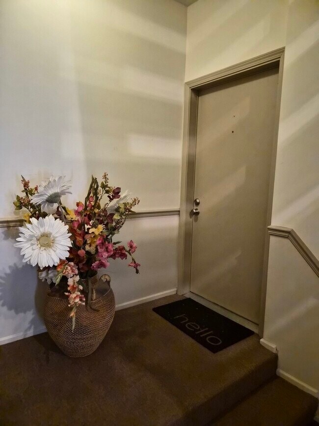 Foto del edificio - 271 Southwick Ct