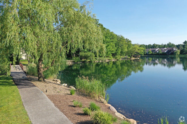 Lake Trail - Atrium