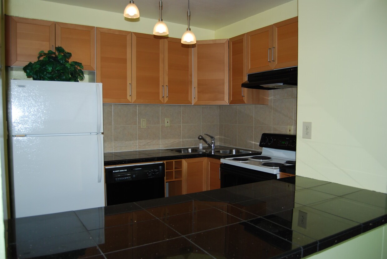 3909 Stevenson Blvd Unit 504, Fremont, CA 94538 Condo for Rent in
