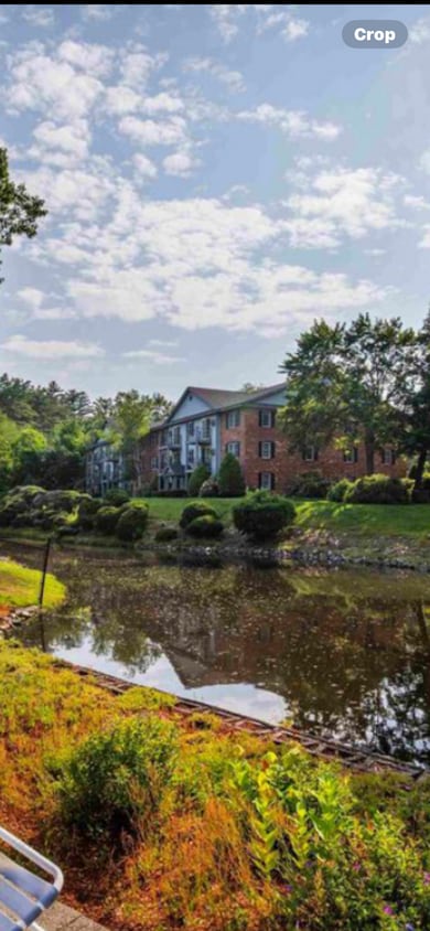 Primary Photo - 11 Northbrook Dr