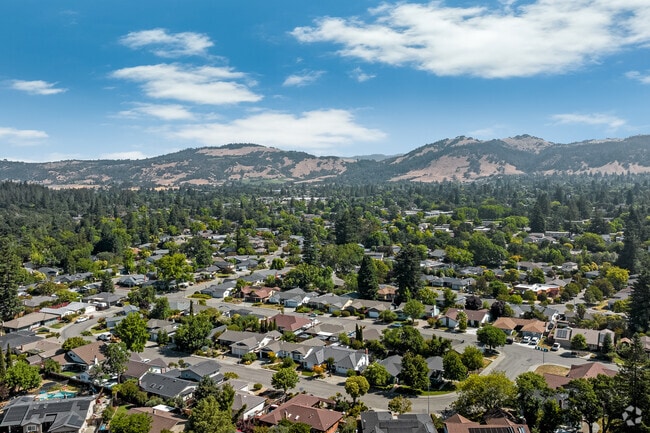 The Middle Rincon neighborhood offers many trees leading up to the Mayacama Mountains.