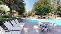 This inviting outdoor space centers around a freeform swimming pool with crystal-clear blue water, set within a beautifully landscaped environment. Towering mature trees frame the area, casting generous shade across the spacious concrete pool deck and creating a peaceful, park-like atmosphere. The surrounding greenery — including dense shrubs, hedgerows, and tall pines — provides a natural privacy screen that adds to the sense of seclusion.

The pool deck is generously appointed with white lounge chairs, ideal for sunbathing, as well as a dining-height table with chairs for casual outdoor gatherings. Additional lounge seating is arranged along the perimeter, giving residents multiple vantage points to enjoy the setting. A low brick planter adds a touch of classic landscaping detail, while a decorative teal planter provides a pop of color against the neutral hardscape.

In the background, a residential structure with a pitched roofline and wood-toned exterior is partially visible beyond the wrought iron perimeter fencing, contributing to the community feel of the space. The overall ambiance is calm and resort-like, offering a comfortable outdoor retreat well-suited for both leisurely lounging and social gatherings under the open California sky.