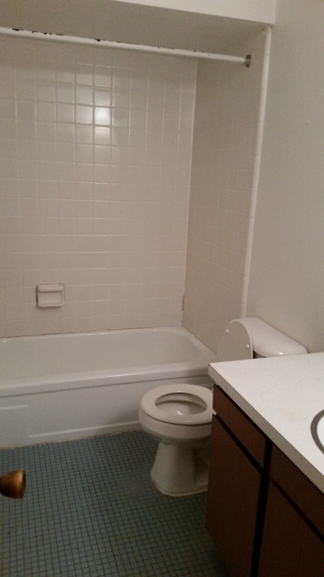 Building Photo - 1130 S Forest Ave