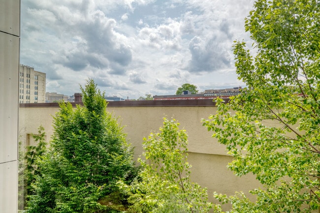 Foto del edificio - 9 Miner St