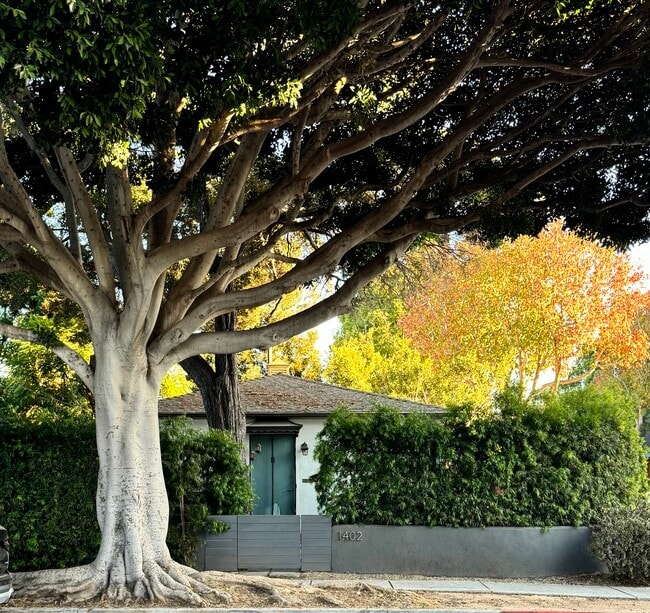 Building Photo - 1402 Maple St