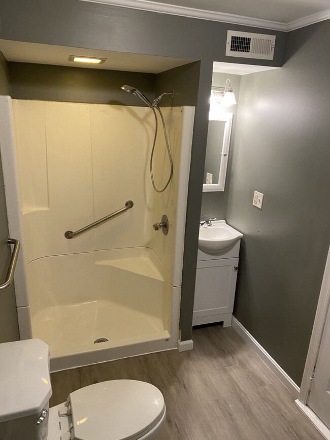 Downstairs Bath - 1750 Wayne Ave