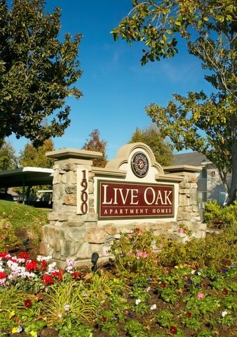 Building Photo - Live Oak Apartments