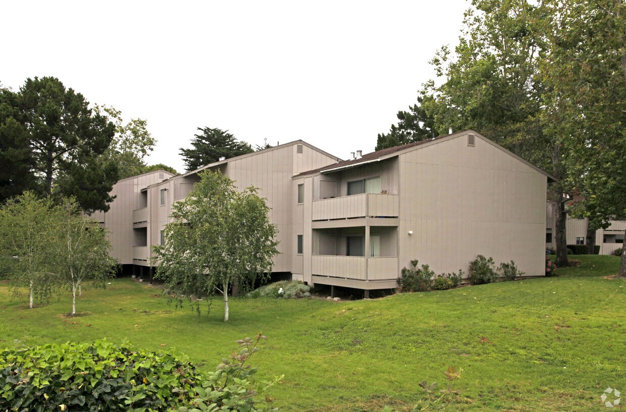 Primary Photo - Shearwater Apartments