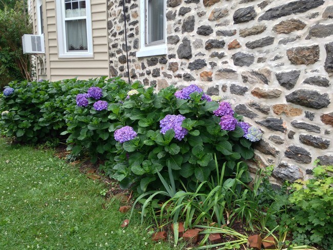 19 Dutton St, Ridley Park, PA 19078 - Apartment for Rent in Ridley Park, PA | Apartments.com