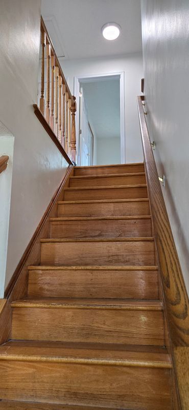 Building Photo - 806 Filson Ct