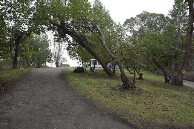 Foto del edificio - 2 bed 1 bath in a country setting