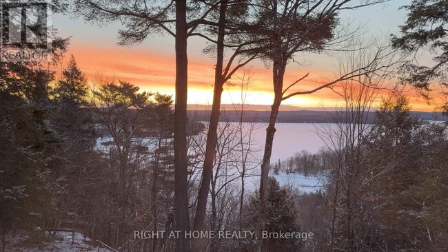 Building Photo - 13 Tree Tops Ln