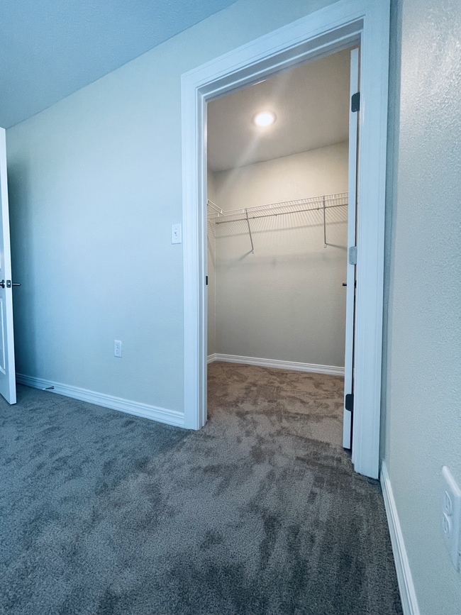 Building Photo - Belmere Luxury Apartments