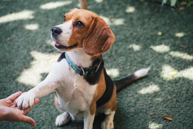 Building Photo - Bolton West Charlotte