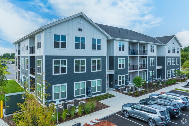 Alta Oak & Pine - Alta Oak and Pine
