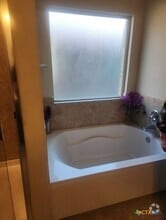 Building Photo - 1407 Amber Dawn Dr