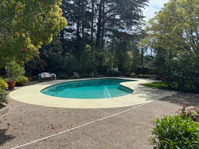 Foto del edificio - Beautiful Unique Home in the Oakland Hills