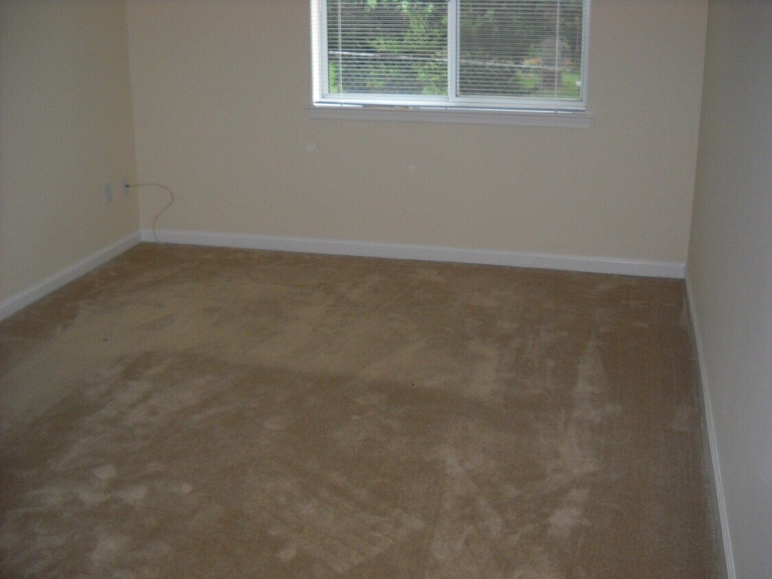 Master Bedroom View - 1805 William St