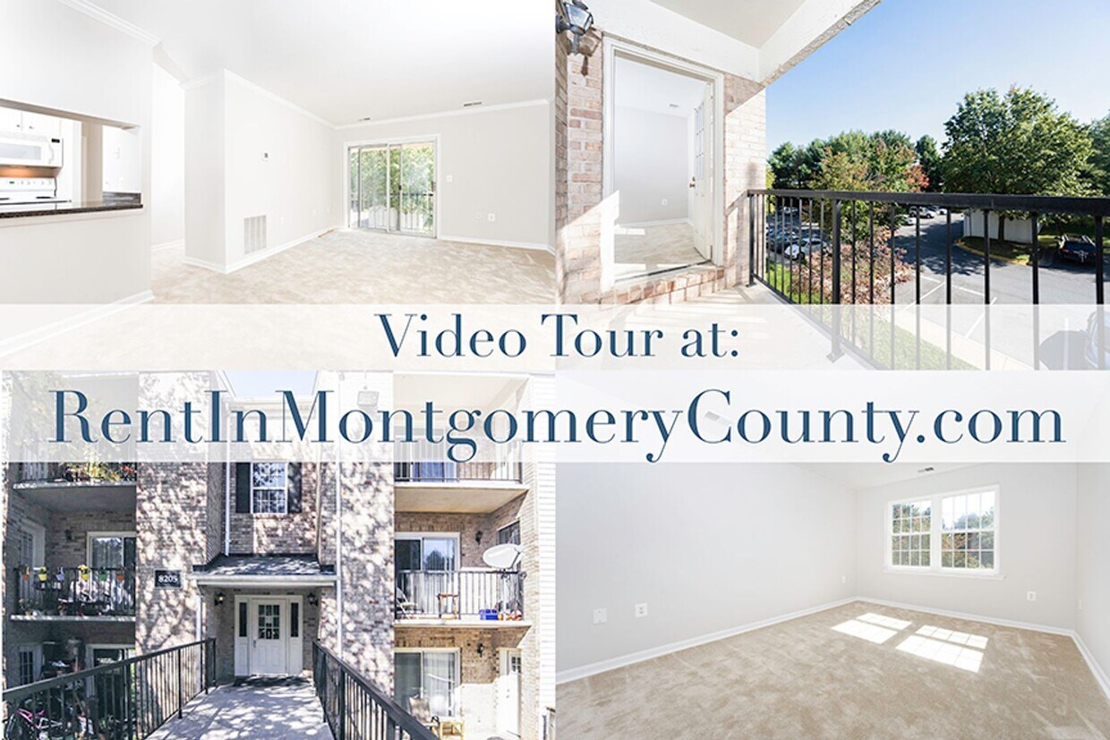 Primary Photo - Gorgeous two bedroom apartment located in ...
