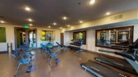 This fitness center offers a spacious, single-floor layout designed to accommodate a full spectrum of workout routines. The space features a polished concrete floor throughout, recessed lighting in a dark ceiling, and warm neutral-toned walls accented by a distinctive herringbone-patterned wood feature wall. Large windows and glass double doors allow natural light to fill the room while providing views of the surrounding outdoor area.

The cardio zone is well-appointed with multiple TRUE-brand treadmills, elliptical trainers, and a stationary recumbent bike, all positioned near the windows for an engaging workout experience. A wall-mounted flat-screen television is conveniently placed for viewing during cardio sessions. The strength training area includes a multi-station cable machine, a weight bench, and a tiered dumbbell rack stocked with a full range of free weights. Functional fitness equipment such as stability balls, medicine balls, resistance tools, and ab workout chairs round out the offerings.

Large framed mirrors are strategically placed along the walls to enhance the sense of space and allow users to monitor their form. A built-in water fountain station ensures convenient hydration. Structural columns punctuate the open floor plan, subtly defining workout zones while maintaining an airy, unobstructed feel throughout the facility.