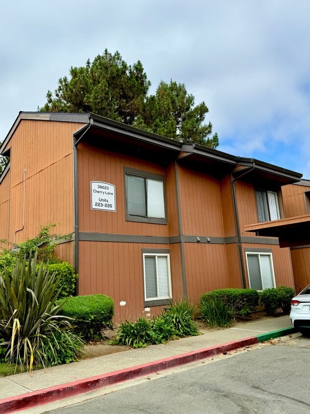 Primary Photo - $3290 - 3 BED/2 BATH CONDO IN CENTRAL FREM...