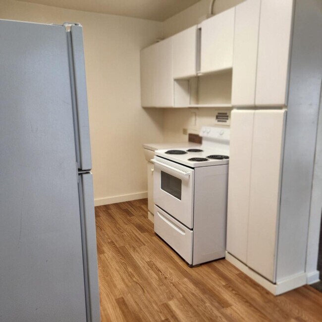 Kitchen stove - 248 E Birch St