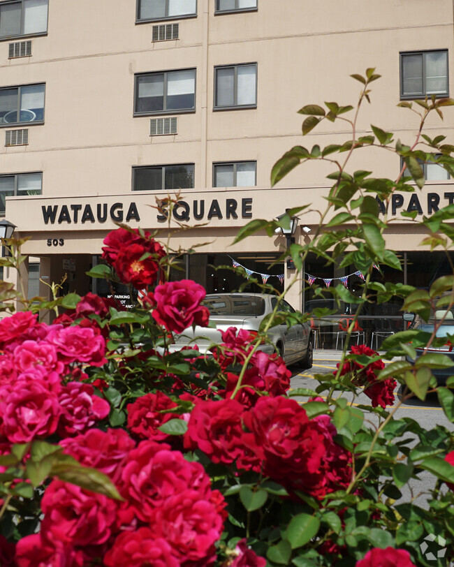 Building Photo - Watauga Square