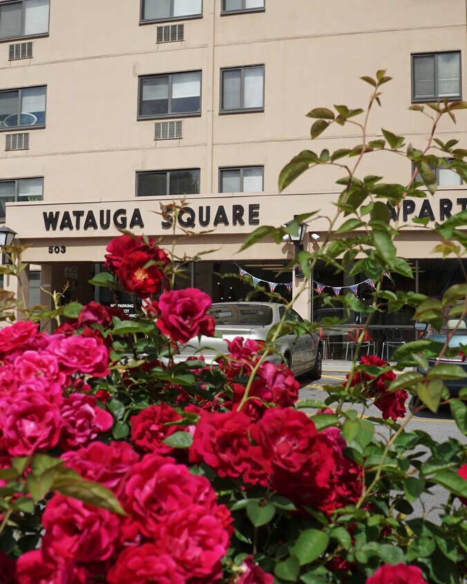Watauga Square Apartments in Johnson City, TN