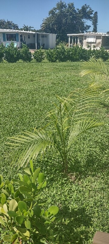 Foto del edificio - 26282 Princess Ln