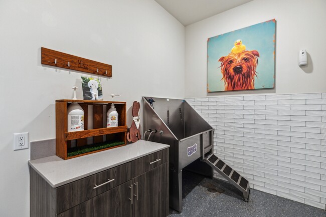 The Mezz, Centennial, CO, Pet Spa - The Mezz at Fiddlers Green