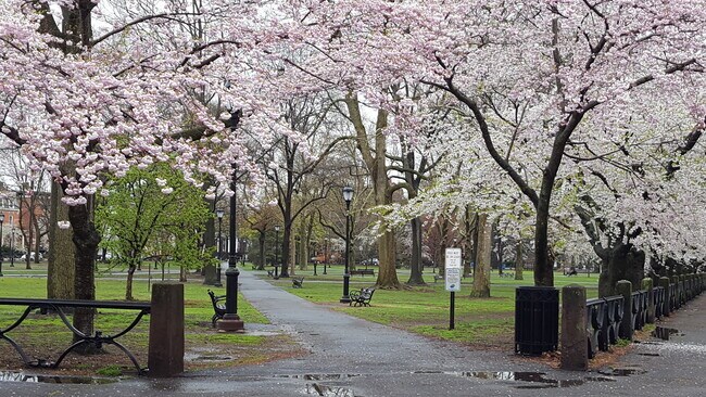 Foto del edificio - 191 Wooster St