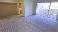 This single-floor space features an open-concept layout that seamlessly connects the living area to the kitchen. The generously sized living room is finished with plush wall-to-wall carpeting in a neutral tone, creating a comfortable and cohesive atmosphere throughout. A full-length sliding glass door fitted with vertical blinds fills the room with natural light and provides direct access to an outdoor balcony, offering a pleasant connection to the exterior.

Adjacent to the living area, the kitchen is partially open and visible through a pass-through-style opening in the dividing wall. It features warm wood-toned cabinetry and light countertops, providing functional storage and prep space. The kitchen's layout appears compact yet efficient. The neutral color palette used throughout — from the off-white walls to the light carpet — contributes to a clean, understated aesthetic. The open flow between the living and kitchen spaces makes the interior feel airy and versatile, well-suited for a variety of furniture arrangements and everyday use.