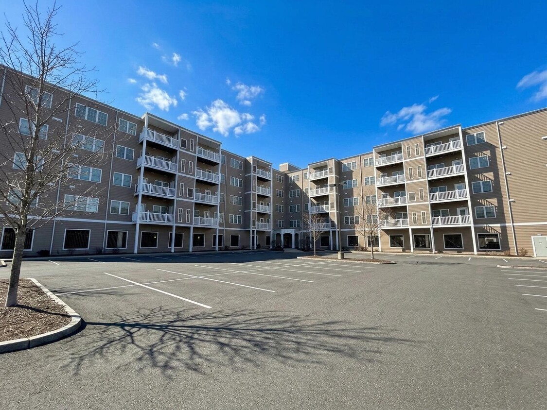 Photo - 8 Walnut St - 406