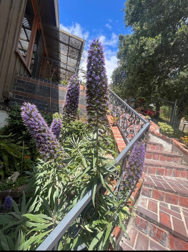 Private path to guesthouse - 2188 Latimer Ln