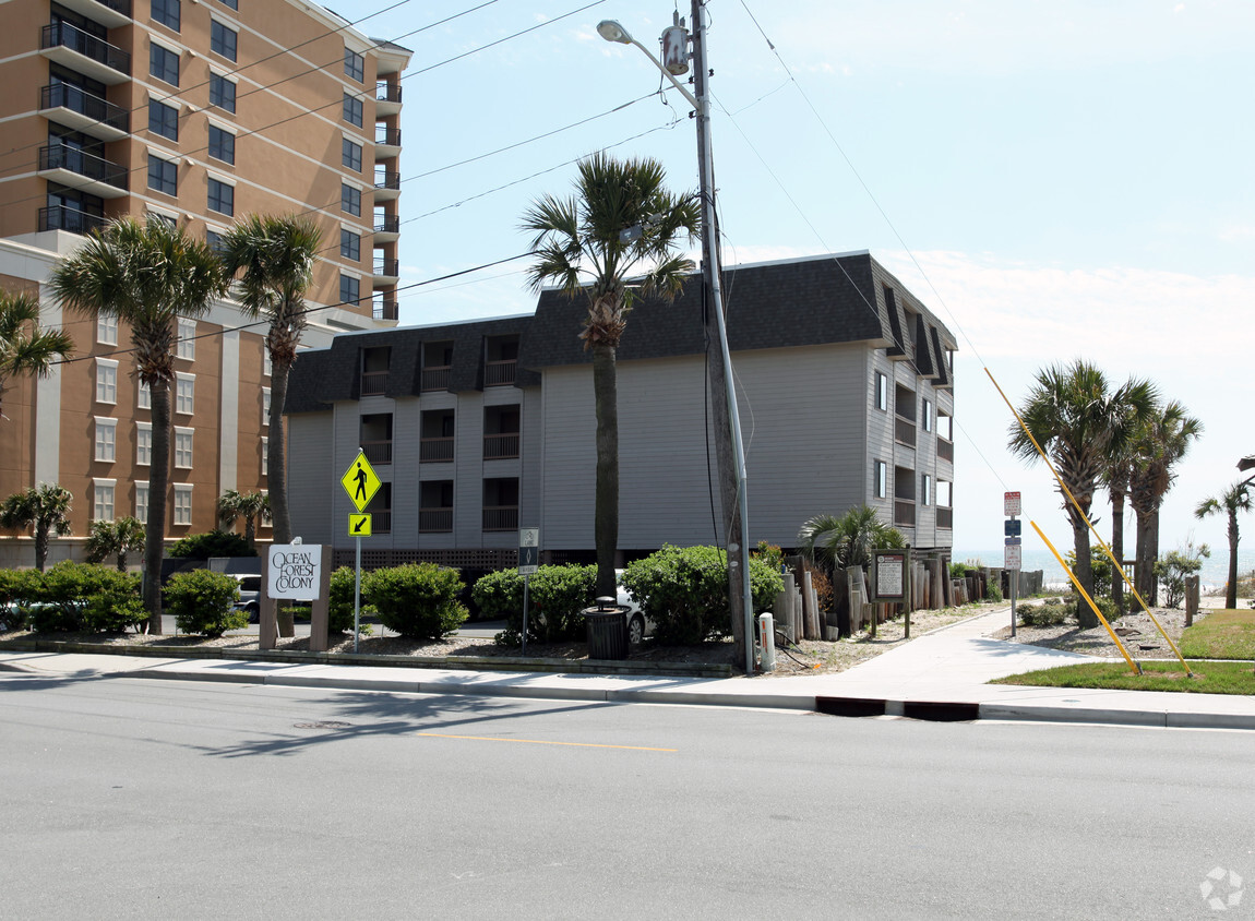 Building Photo - Ocean Forest Colony