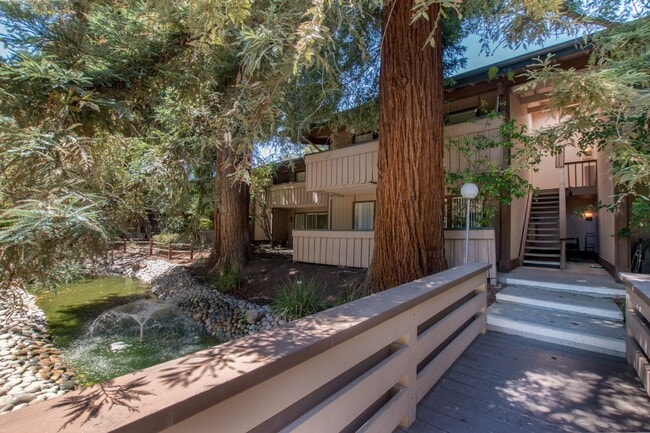 Outside Unit (upstairs) with Redwood Trees - 151 Buckingham Dr