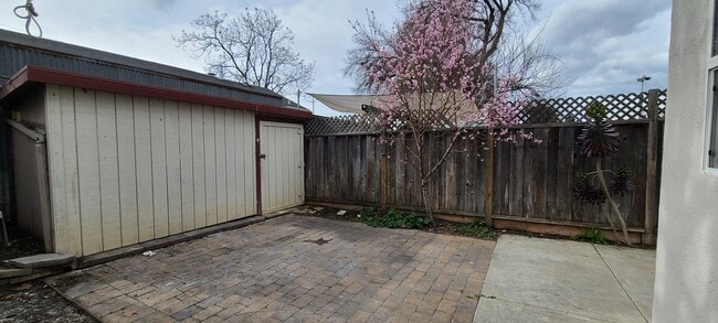 Backyard and included shed - 463 Washington St