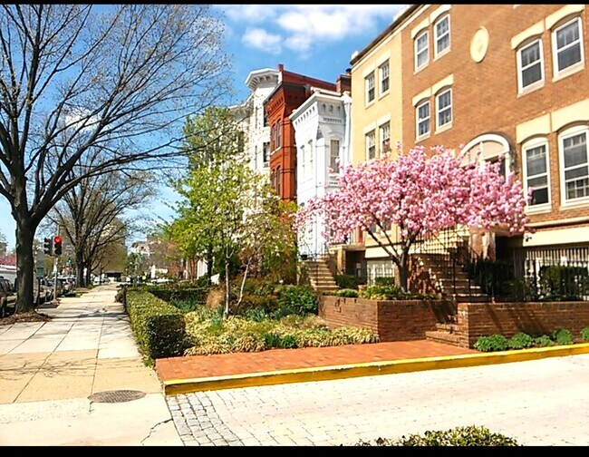 Vista exterior - 236 Maryland Ave NE