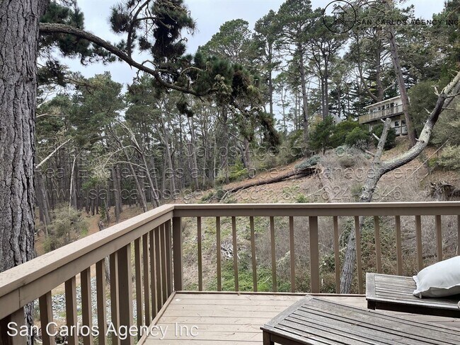Foto del edificio - 3 br, 2.5 bath House - 4192 Sunridge Road