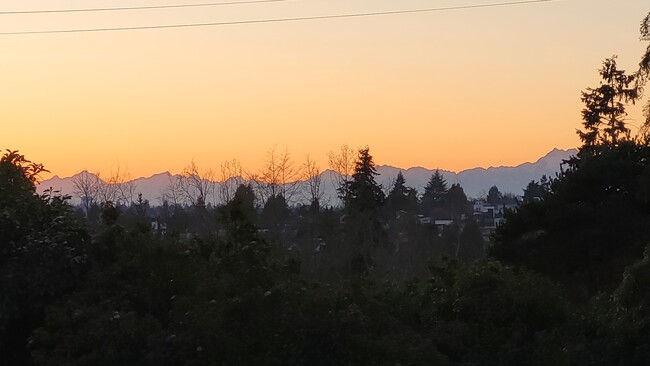 Vista desde la sala de estar y el comedor. - 4224 Wallingford Ave N