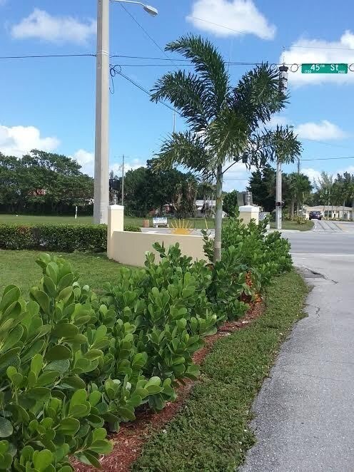 Building Photo - 2 br, 1 bath House - 110 E. TIFFANY DR #1