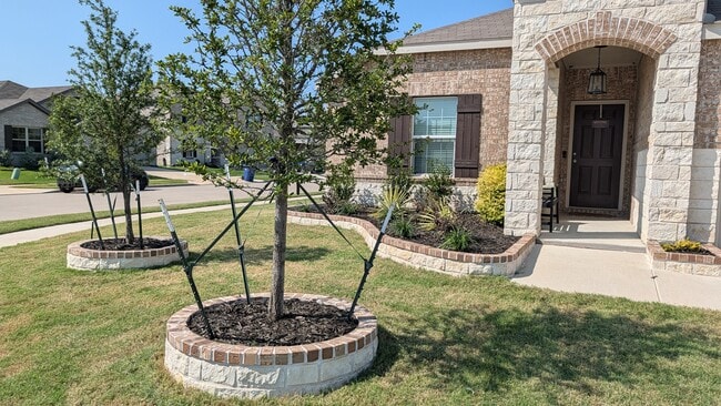 Building Photo - 1813 Acacia Dr