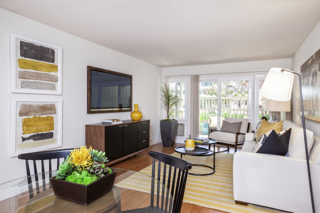 Sunny Living Room - Brookdale Apartments